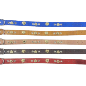 Περιλαίμιο - Κολάρο σκύλου - 2x46cm - 12pcs - 550187