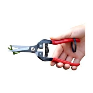 Ψαλίδι κλαδέματος - 291448