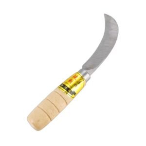 μαχαίρι κοπής φρούτων